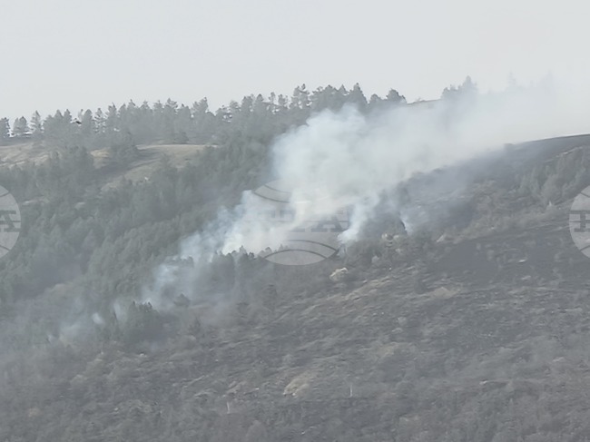 Пожар е възникнал в смесена гора и сухи треви в района на Брезнишко