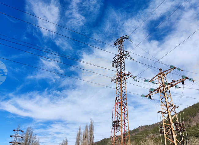 Млад царски орел е загинал вероятно от токов удар, съобщиха от организацията „Зелени Балкани“