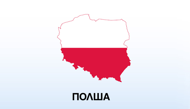 Полско частно радио съобщи, че откритите в гора в Северна Полша отломки може да са от неидентифицирана ракета въздух-земя