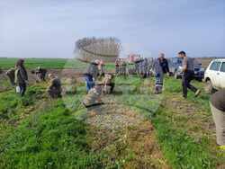 Снимка: Североизточно държавно предприятие ДП Шумен