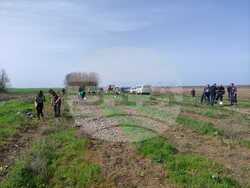 Снимка: Североизточно държавно предприятие ДП Шумен