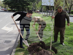 Снимка: Община Хасково