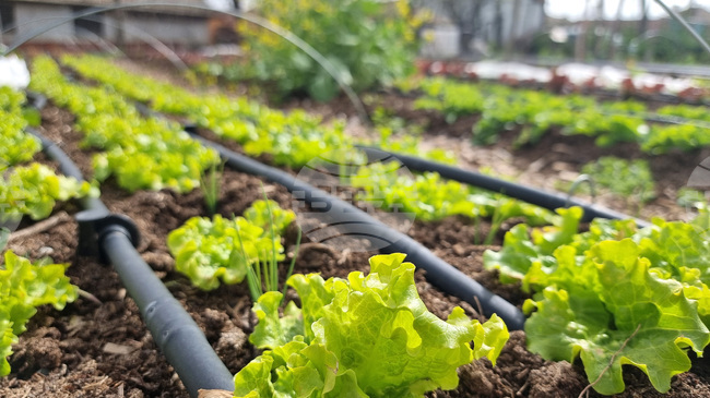 Събитие от информационната кампания "Призвание: БиоЛогичен!" на земеделското министерство ще се проведе е в Ямбол на 12 ноември