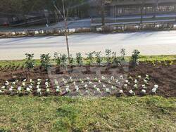 Снимка: Община Смолян