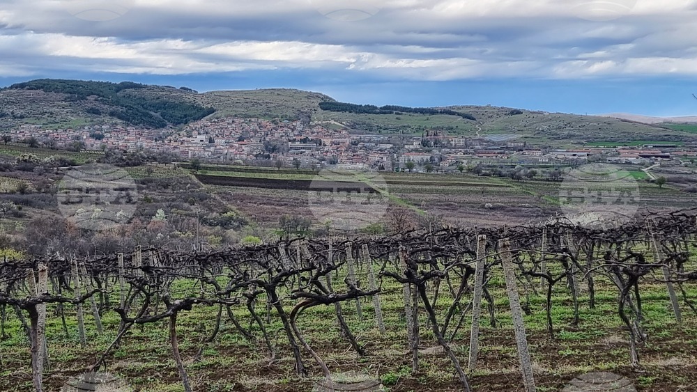 Тази година ДФЗ дава 1,2 млн. лева на земеделските стопани за производство на семена и посадъчен материал