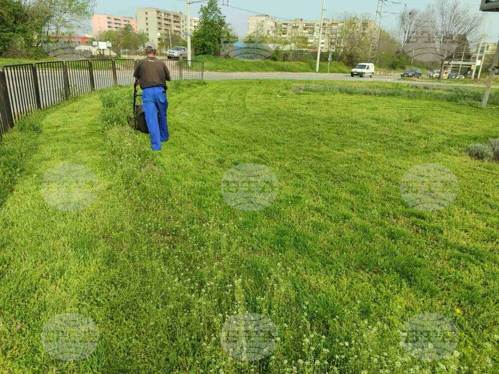 Община Русе: Започва косенето на тревните площи в Русе