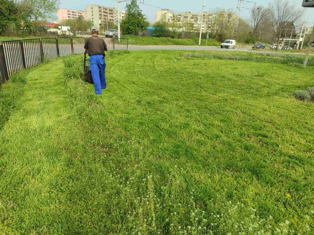 Община Русе: Започва косенето на тревните площи в Русе