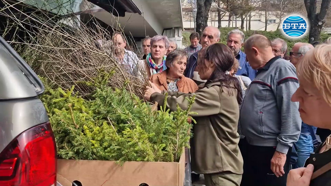 За Седмицата на гората в Смолян раздадоха безплатни фиданки