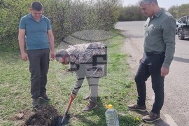 Шумен - СИДП - залесяване