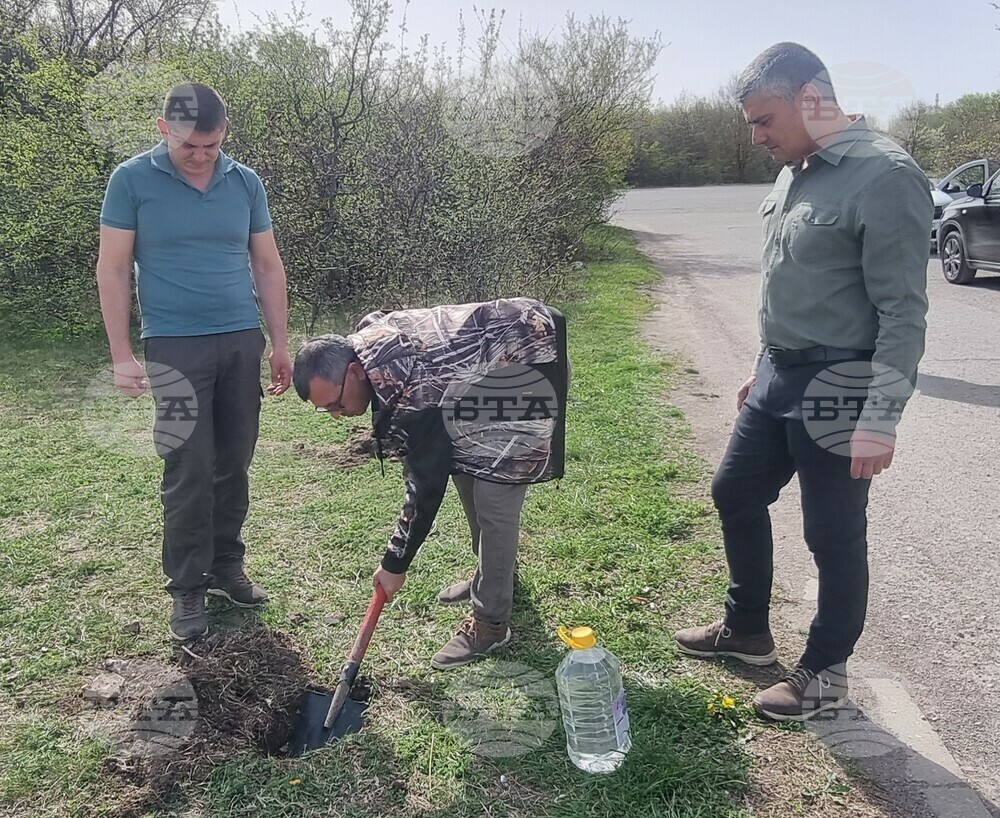 Шумен - СИДП - залесяване
