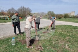 Шумен - СИДП - залесяване