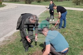 Шумен - СИДП - залесяване