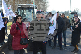 Харманли - лозари - протест