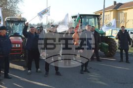 Харманли - лозари - протест