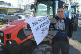 Харманли - лозари - протест