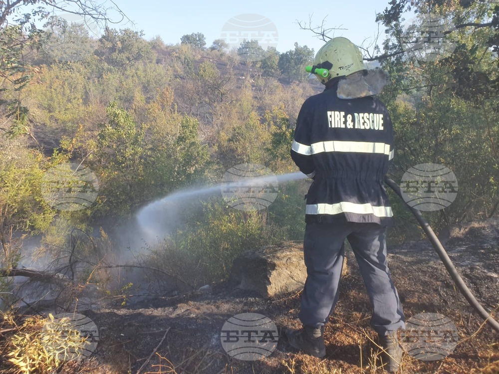 Wildfire Spreads, Two Municipalities Declare Partial State of Disaster