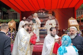 Троянски манастир - празник - икона