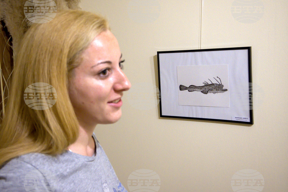 Пловдив - "Илюстрации на риби от Норвежко море" - изложба