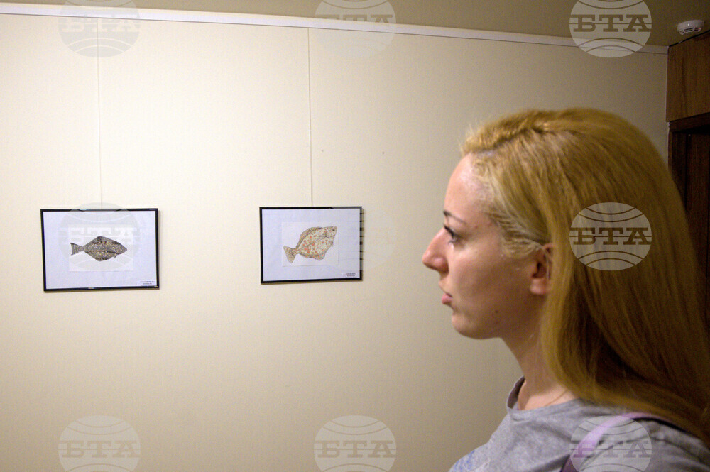 Пловдив - "Илюстрации на риби от Норвежко море" - изложба