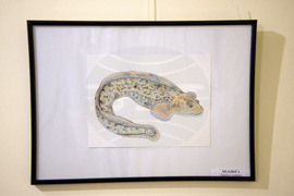 Пловдив - "Илюстрации на риби от Норвежко море" - изложба