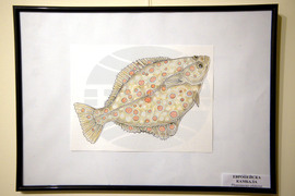 Пловдив - "Илюстрации на риби от Норвежко море" - изложба
