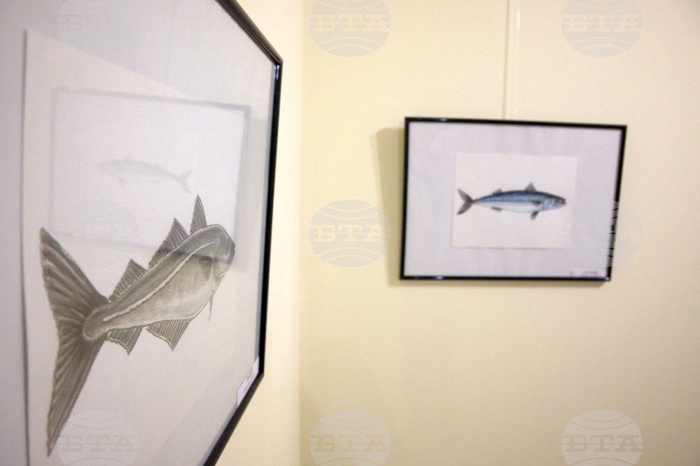 Пловдив - "Илюстрации на риби от Норвежко море" - изложба