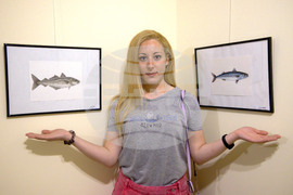 Пловдив - "Илюстрации на риби от Норвежко море" - изложба