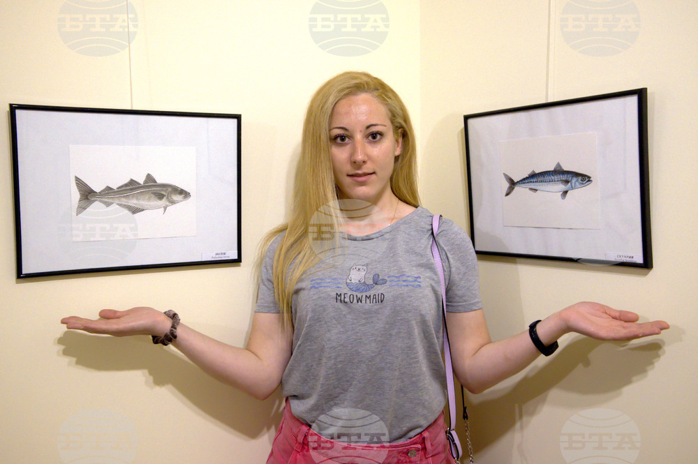 Пловдив - "Илюстрации на риби от Норвежко море" - изложба