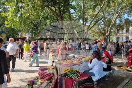 Кюстендил - "Панагия - Въздигане на хляба" - културен форум