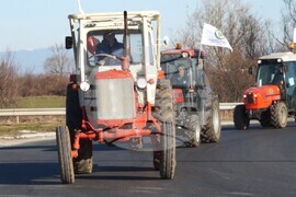 Пазарджик - протест - лозари