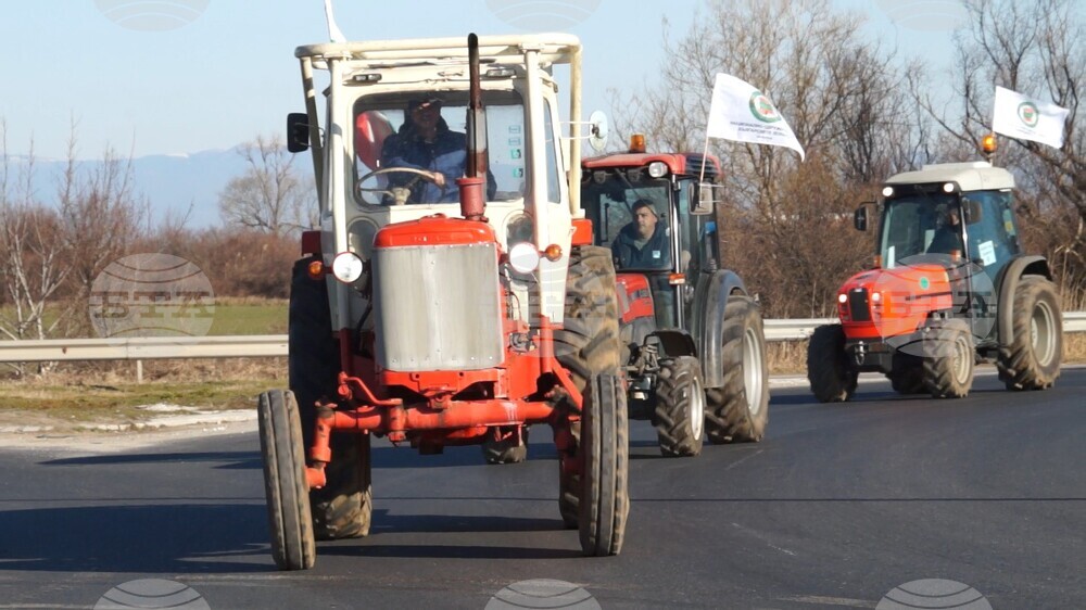 Пазарджик - протест - лозари