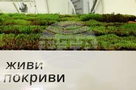 Архитектурно-строителна седмица - изложение