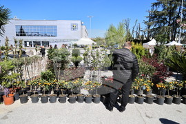 Пловдив - „Природа. Лов. Риболов“ и „Цветна пролет“ - изложение - откриване