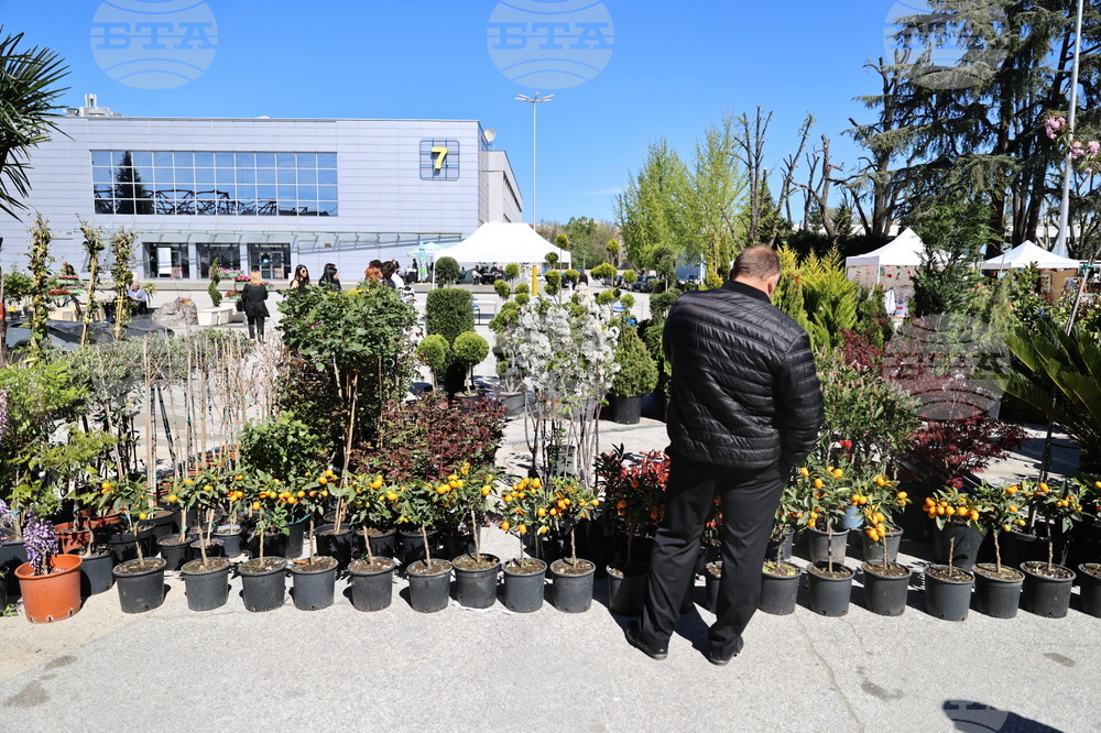 Новости в овощарството, градинарството, озеленяването и цветарството представя Специализираната изложба "Цветна пролет" в Пловдив 
