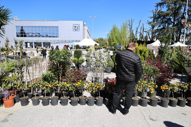 Новости в овощарството, градинарството, озеленяването и цветарството представя Специализираната изложба "Цветна пролет" в Пловдив 