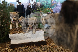 Пловдив - „Природа. Лов. Риболов“ и „Цветна пролет“ - изложение - откриване