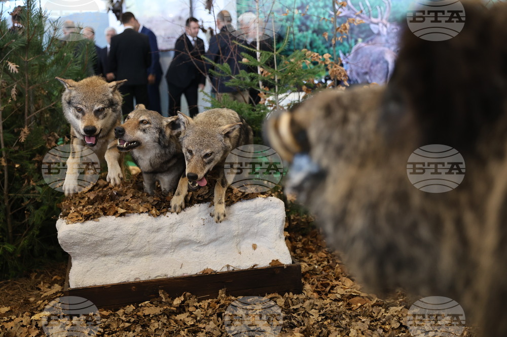 Пловдив - „Природа. Лов. Риболов“ и „Цветна пролет“ - изложение - откриване