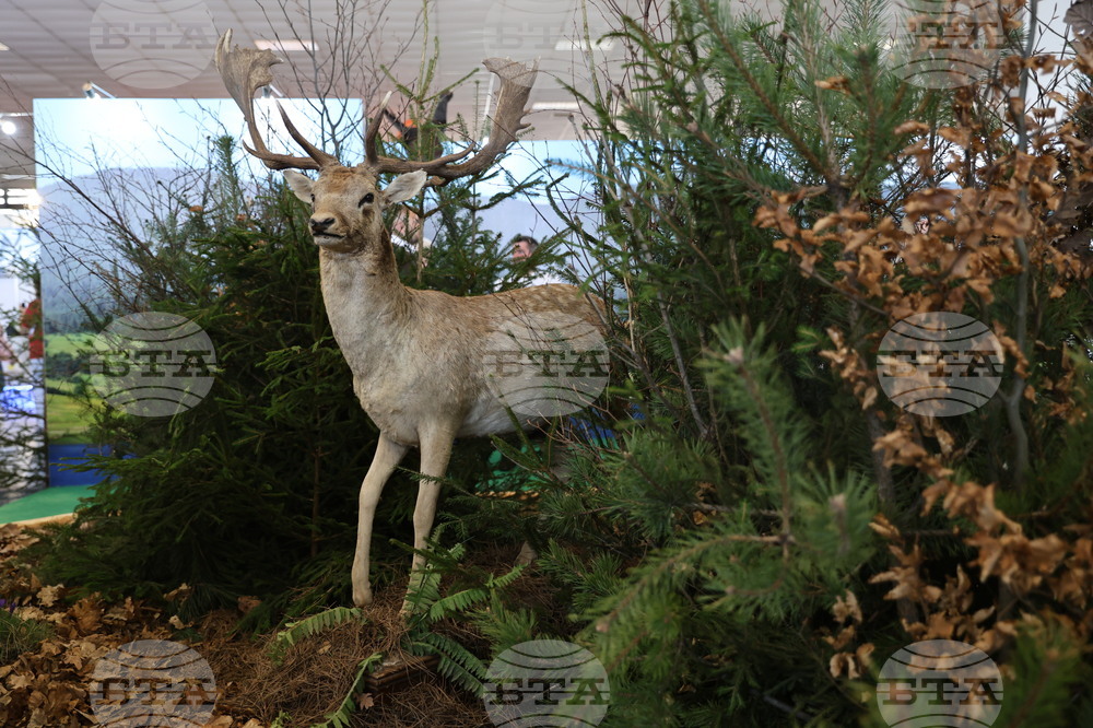 Пловдив - „Природа. Лов. Риболов“ и „Цветна пролет“ - изложение - откриване