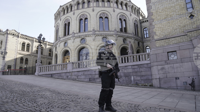 Норвежката полиция каза, че един човек е бил задържан след съобщения за стрелба в търговски център в Осло