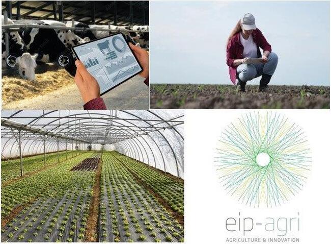 МЗХ: Удължава се срокът за изпълнение на одобрени проекти за иновации по подмярка 16.1 от ПРСР 2014-2020 г. 