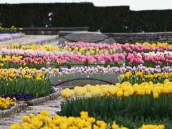 Снимка: Университетска ботаническа градина Балчик