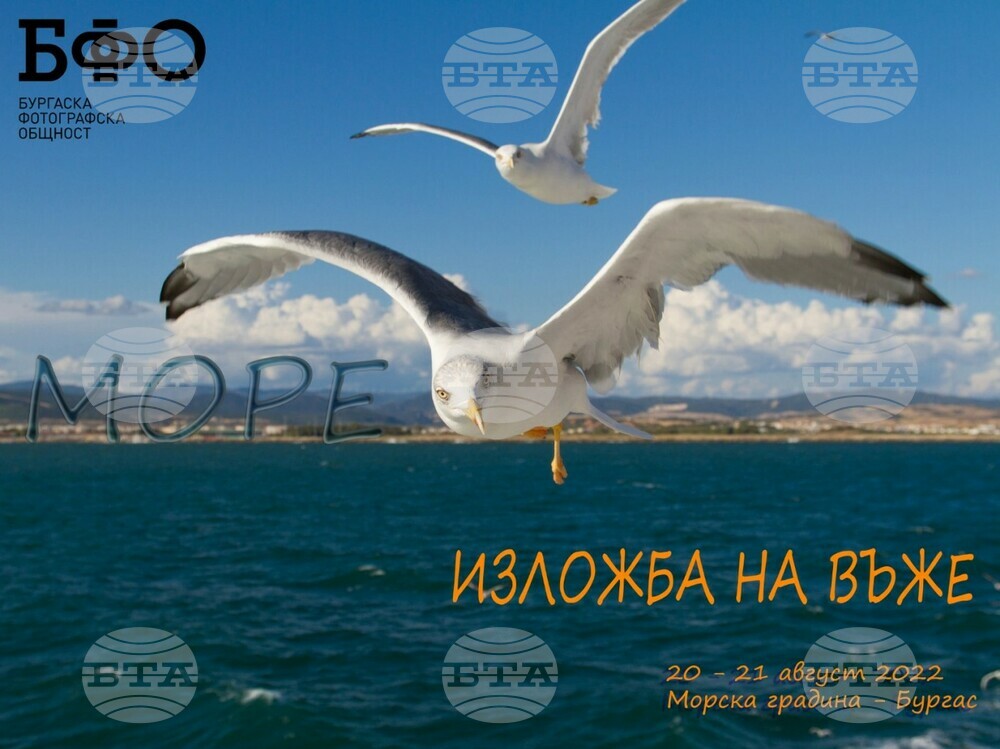 Фотоси на морското крайбрежие ще покажат на изложба в Бургас петнайсет творци
