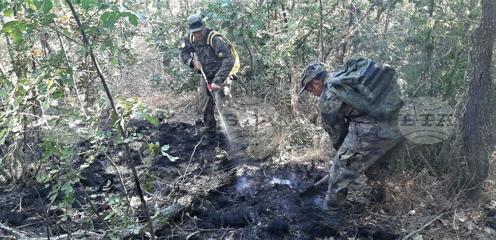 Военнослужещи от Сухопътните войски оказват помощ при гасенето на пожар в село Изворово