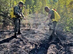 Снимка: Министерство на отбраната