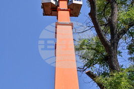 Пловдив -  ОП "Организация и контрол на транспорта" - санитарно оформяне на короните на дървета