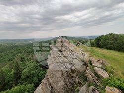Снимка: Българска фондация Биоразнообразие 