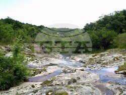 Снимка: Българска фондация Биоразнообразие 