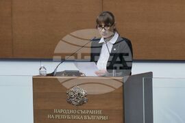 Парламент - заседание - Вера Александрова