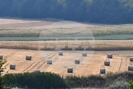 Село Богданци - рулонни бали