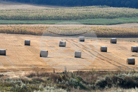 Село Богданци - рулонни бали